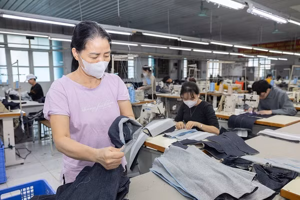 Gắn đào tạo nghề với sinh kế bền vững