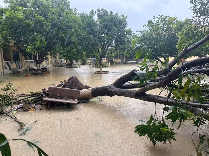 Trường Tiểu học Hưng Hoà (phường Trường Vinh, Nghệ An) bị ngập lụt, ngã đổ nhiều cây xanh img-9725.jpg