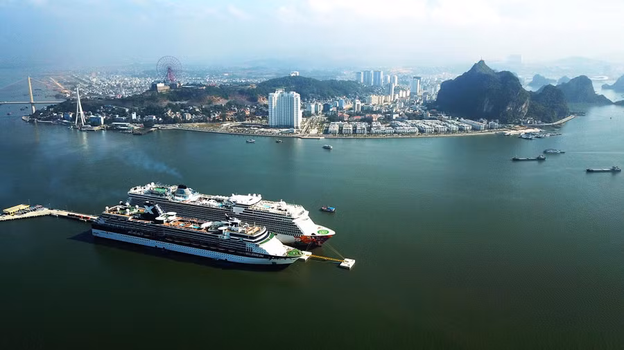 Tàu du lịch quốc tế đến Hạ Long.