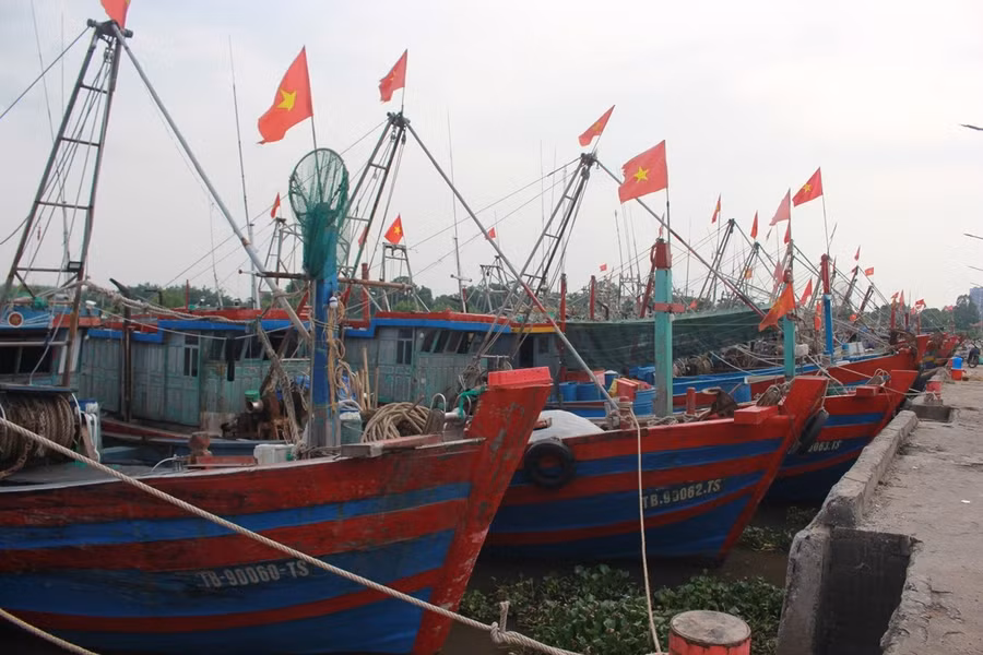 ảnh 4.JPG
