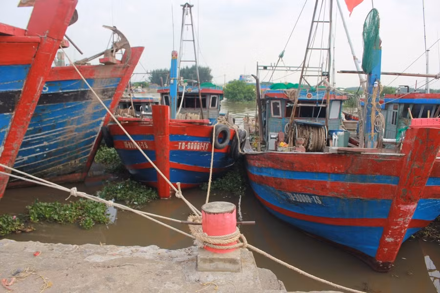 ảnh 6.JPG