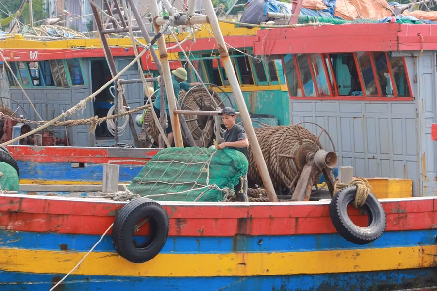 ảnh 8-2.JPG