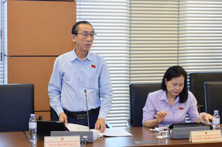 Đại biểu Trần Hoàng Ngân, đoàn ĐBQH TPHCM.