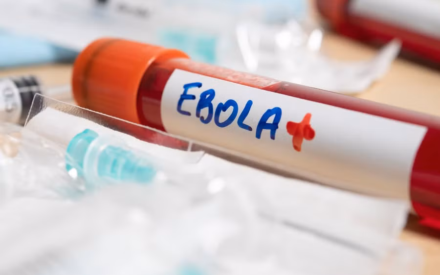 Theo Bộ Y tế, bệnh do virus Ebola là bệnh truyền nhiễm cấp tính nguy hiểm, có khả năng bùng phát thành dịch lớn với tỉ lệ tử vong trung bình khoảng 50%. Ảnh minh họa. 
