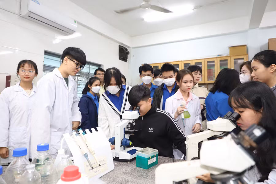 Sinh viên Trường Đại học Sư phạm (Đại học Đà Nẵng). Ảnh: NTCC