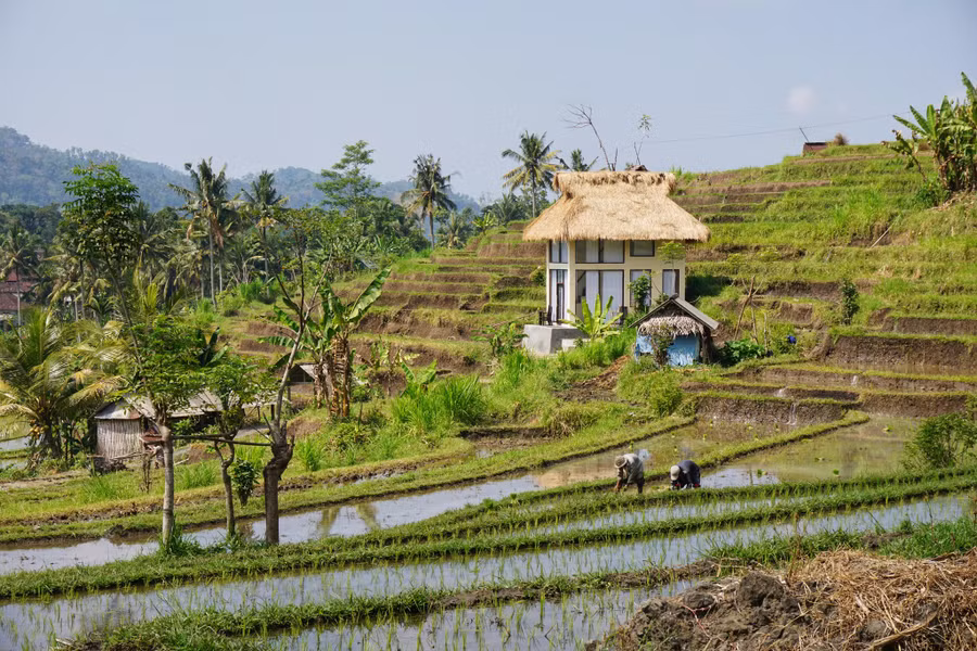 ruong-bac-thang-bai-hoc-ban-dia-3.jpg