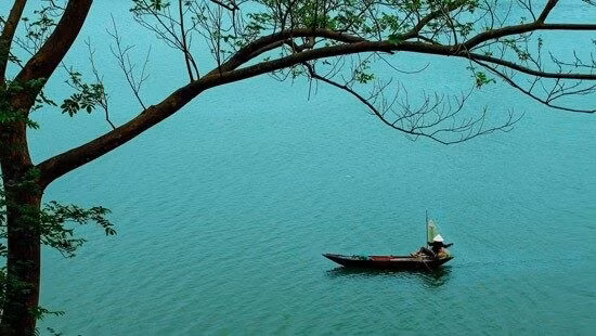 cam-thu-van-hoc-khi-me-hoa-bo-ben-dong-song1.jpg