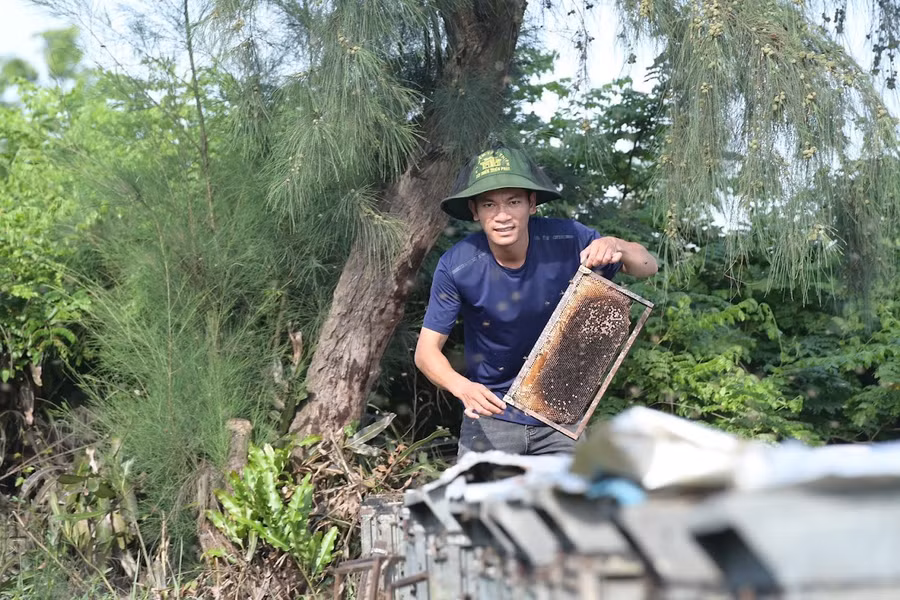 nuoi-ong-o-rung-ngap-man-xuan-thuy-4.jpg