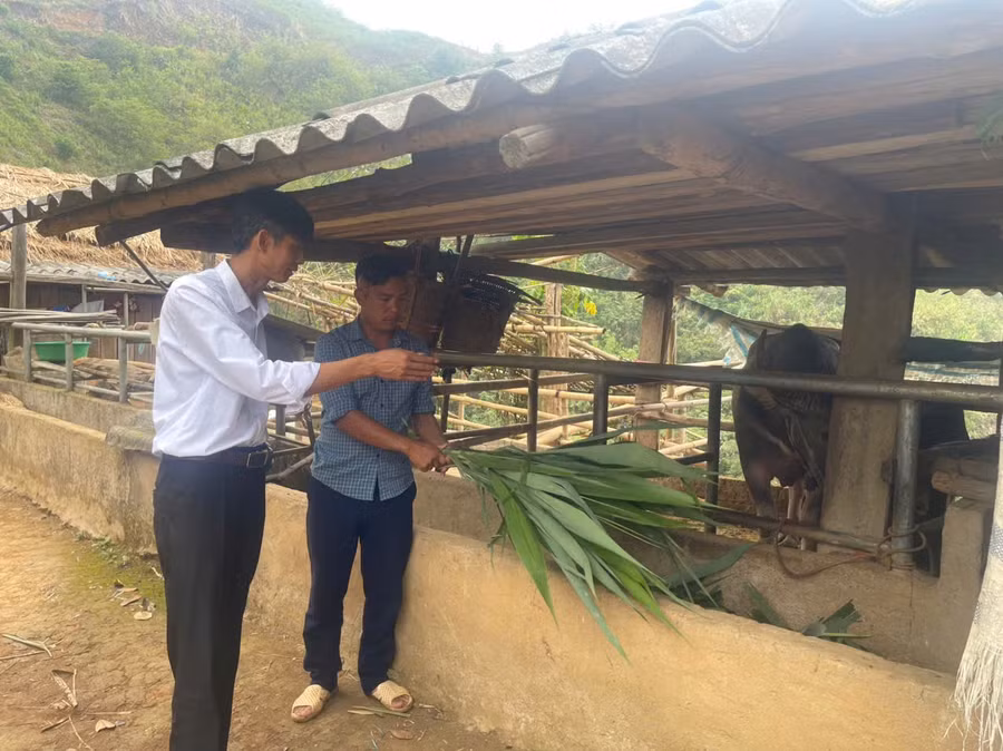 nha-giao-giu-binh-yen-noi-cuc-tay-2.jpg