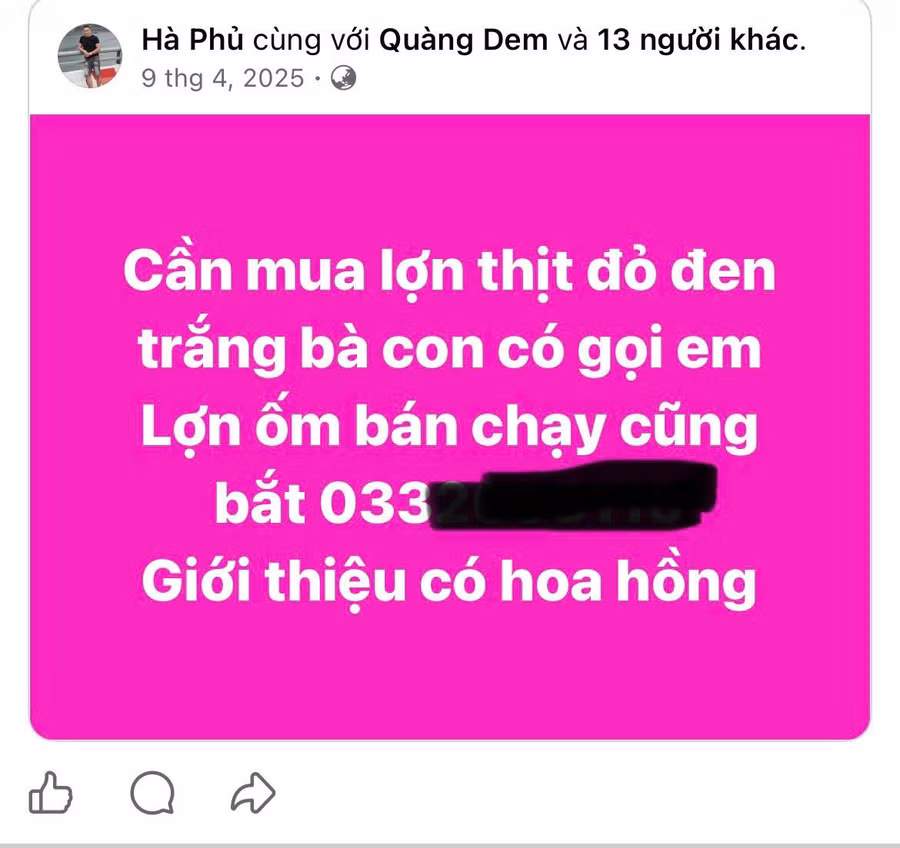 bai-2-ha-phu-mat-xich-trung-chuyen-lon-1.jpg