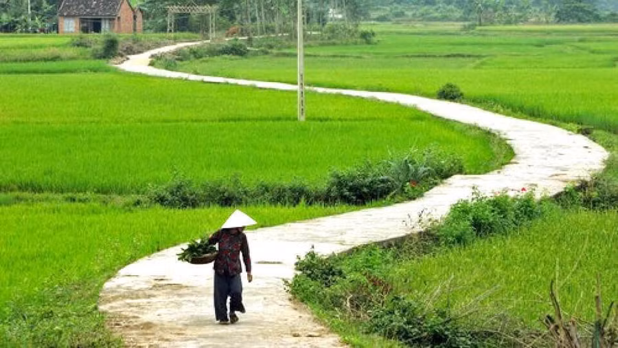 Minh họa/INT