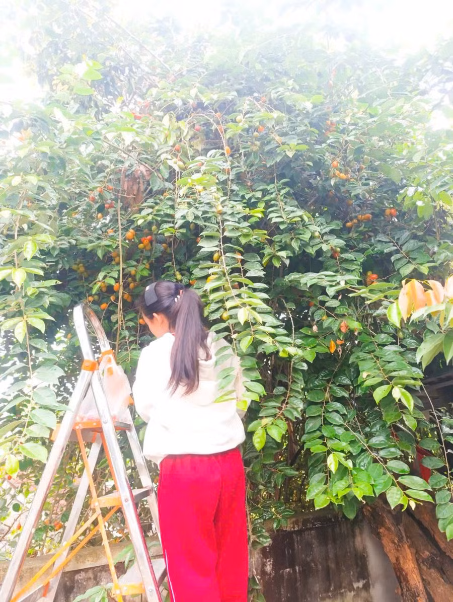 cafe-ngay-moi-dung-vo-tinh-quen-2.jpg