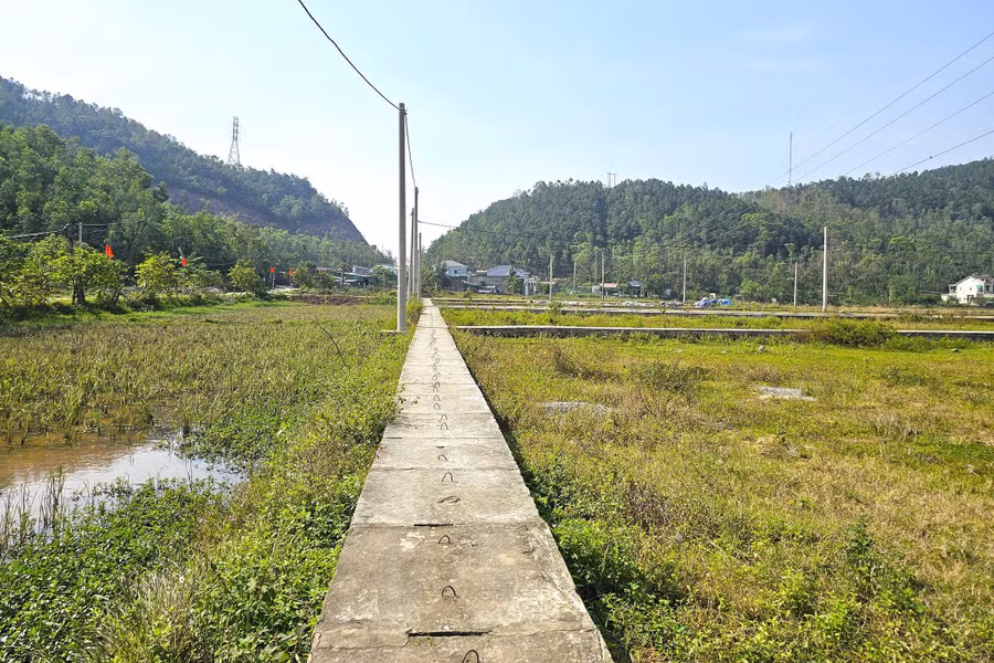 10-nam-song-canh-tram-nghien-xi-mang-dan-mon-moi-3.jpg