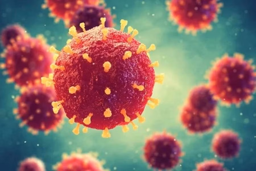 virus-nipah-nhan-dien-som-nguy-co-2.jpg