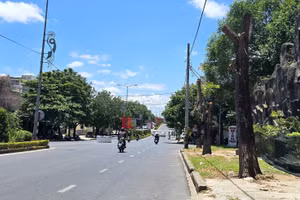Cây xanh trên tuyến đường Hùng Vương, tỉnh Quảng Trị bị cắt hạ để thực hiện dự án cải tạo vỉa hè.