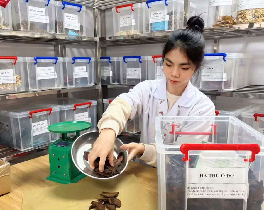 Sinh viên Trường CĐ Dược Hà Nội.