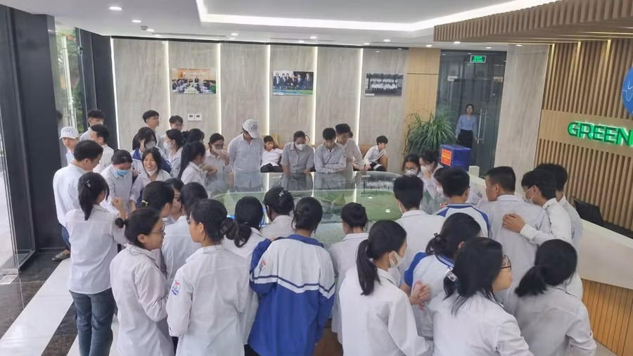 hương nghiep1.jpg