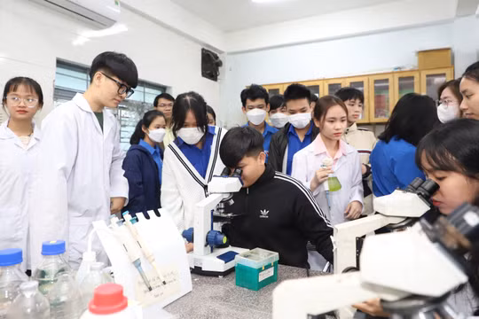 Sinh viên Trường Đại học Sư phạm (Đại học Đà Nẵng). Ảnh: NTCC