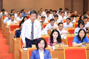 Phó Chủ tịch Thường trực UBND TP Hà Nội Dương Đức Tuấn làm rõ các ý kiến của đại biểu (Ảnh Thái Hùng).