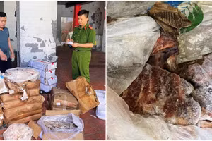 2,5 tấn thịt không hoá đơn trong kho đông lạnh ở Ninh Bình