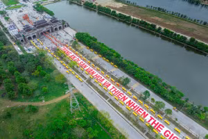 Ảnh minh họa (IT)