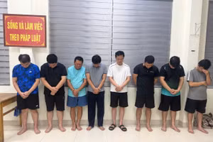 Nhóm người bị khởi tố, tạm giam (từ trái sang phải): Hoàng Văn Dũng, Hoàng Minh Tưởng, Đỗ Văn Hùng, Nguyễn Văn Tình, Trần Anh Hào, Hoàng Văn Nam, Hoàng Văn Đạt.
