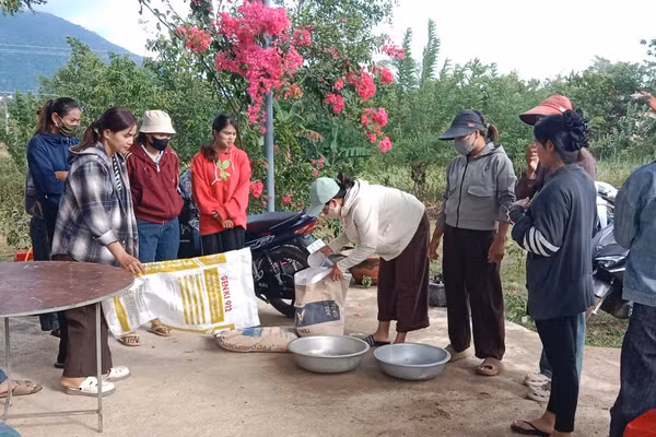 Một buổi học lớp chăn nuôi heo. (Ảnh: UBND xã M'Drắk)