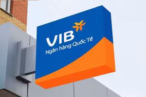 Ngân hàng VIB: Lợi nhuận giảm sút, nợ có khả năng mất vốn hơn 6.000 tỷ đồng