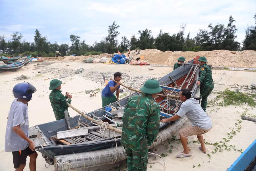 tranh-bao-6.jpg