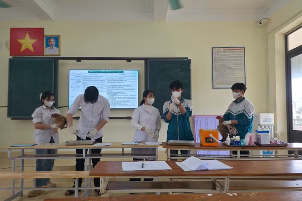Học viên Trung tâm GDNN-GDTX Đông Hưng, Hưng Yên trong giờ học thực hành sơ cấp nghề Thú y.