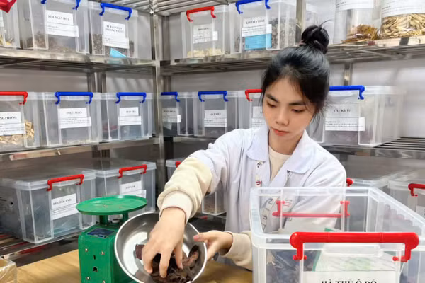 Sinh viên Trường CĐ Dược Hà Nội.
