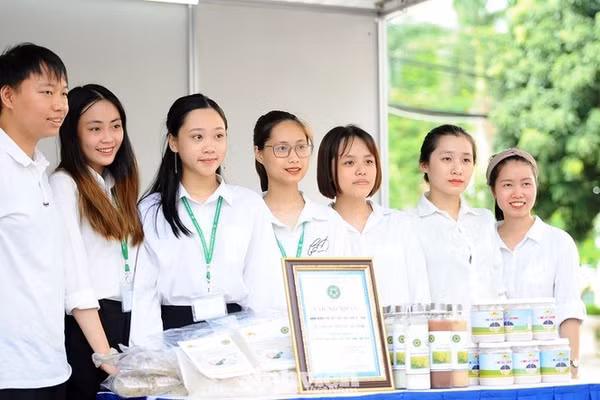 Phê duyệt 'Chương trình Hỗ trợ HSSV khởi nghiệp giai đoạn 2026 - 2035'