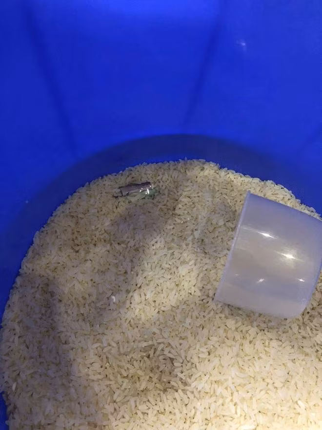 Quỹ đen của chồng giấu trong thùng gạo bị phát hiện