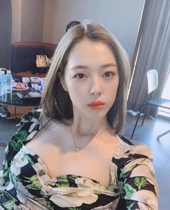 Tiết lộ kết quả tử thi của Sulli, giáo sư đại học thô lỗ nói về cái chết của Goo Hara ảnh 1
