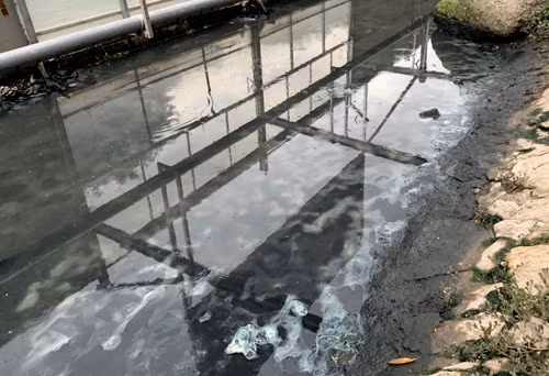Nước và váng bùn bên trong khu quây thí điểm. Ảnh: Tất Định Nước và váng bùn bên trong khu quây thí điểm sau khi dừng phun mưa nano. Ảnh: Tất Định