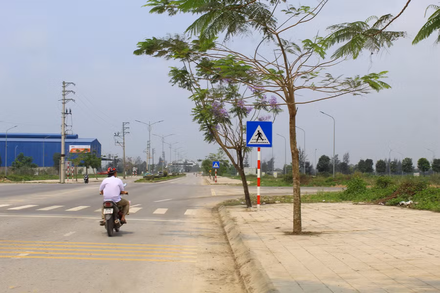 Hàng phượng tím bắt đầu bung nở trên trục đường từ xã Hoằng Đạo (sát thị trấn Bút Sơn) xuống biển Hải Tiến (Hoằng Hóa, Thanh Hóa). Theo kế hoạch của UBND huyện Hoằng Hóa, Lễ hội du lịch biển Hải Tiến năm 2023 sẽ khai mạc vào ngày 28/4 tới đây. Ảnh: LT.