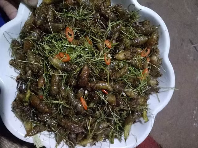 ngon het nac ve sua rang nuoc mang chua tay bac hinh anh 2