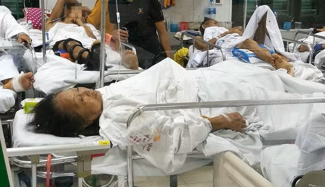 Lời kể đầy ám ảnh của cụ bà bị chó dữ tấn công phải nhập viện ở Hà Nội - Ảnh 3.