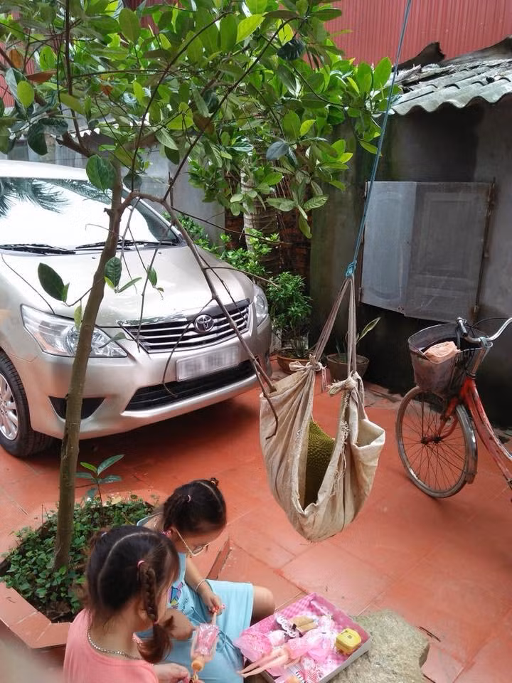 Hình ảnh quả mít mọc trên cây bé tý khiến dân mạng thích thú, hào phóng tặng 25.000 lượt like.