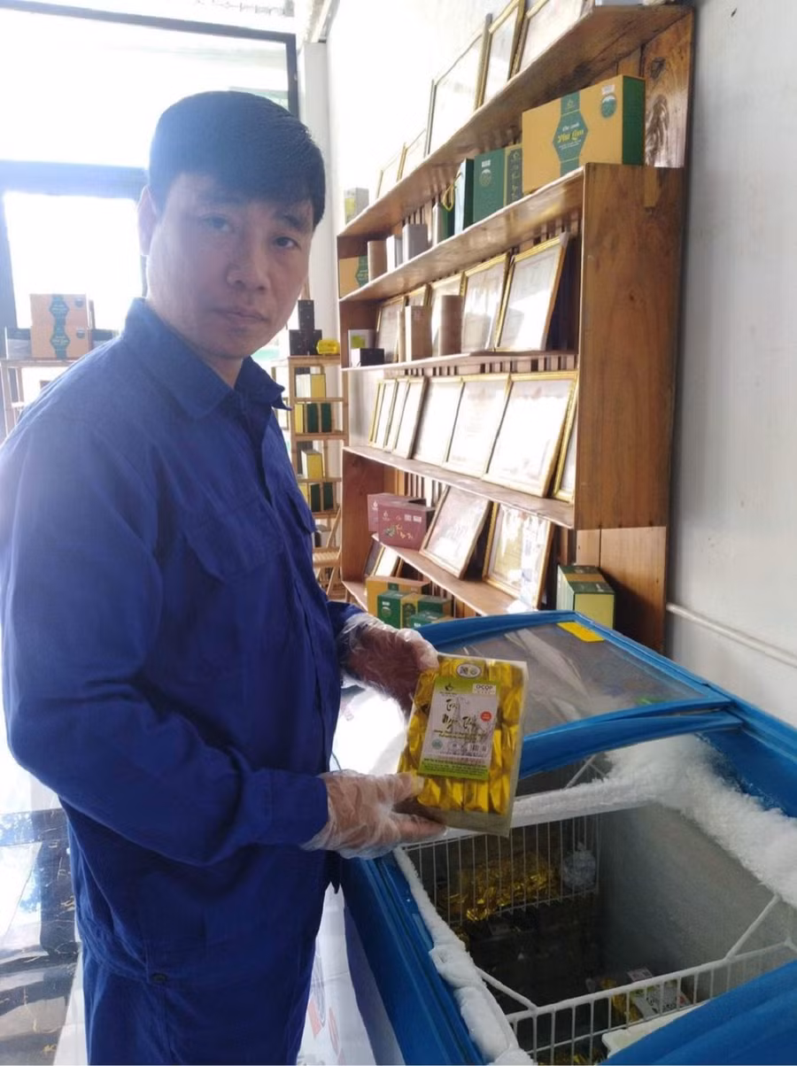 Anh Nguyễn Công Sử, Giám đốc HTX Chè Sử Anh, huyện Yên Sơn, tỉnh Tuyên Quang.