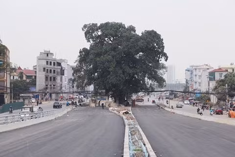 ảnh 2
