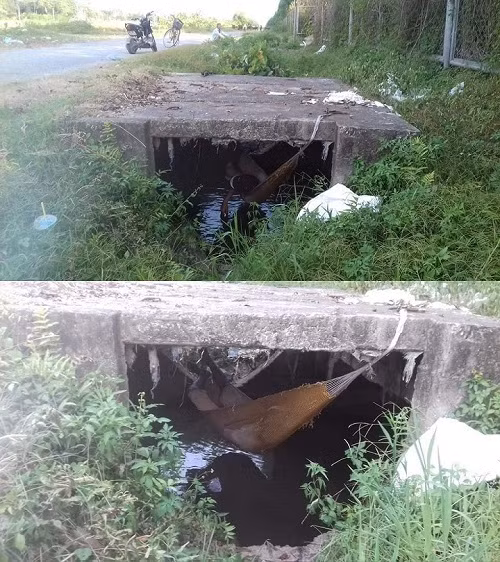 Cách tránh nóng của người thông minh.