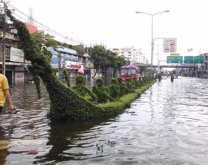 Tiên tri...