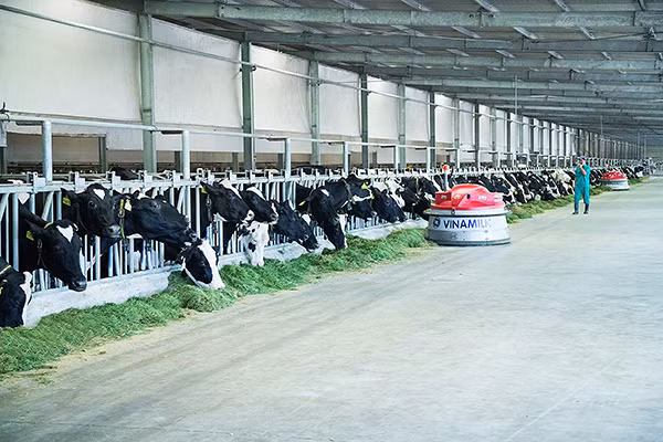 Vinamilk là thương hiệu dẫn đầu Việt Nam theo Forbes công bố - 2
