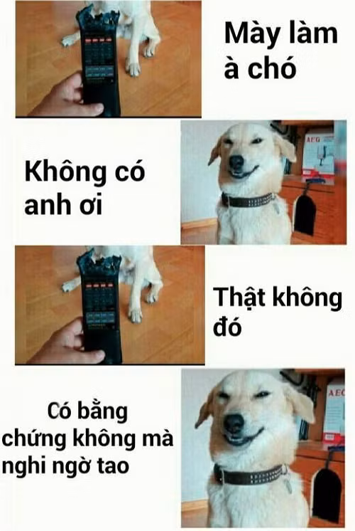 Không thể kết luận bất cứ việc gì nếu không có bằng chứng. 10-anh-hai-hot-nhat-facebook-trong-ngay-3