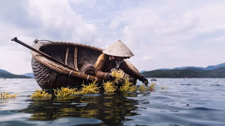 CNN ca ngợi Hội An là một trong những đô thị cổ đẹp nhất Đông Nam Á ảnh 5 Chú thích ảnh