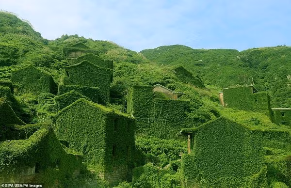 Kinh ngạc với vẻ đẹp nên thơ của làng chài bị bỏ hoang suốt 30 năm ở Trung Quốc ảnh 3
