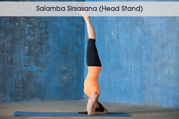 5 tư thế yoga giúp đánh tan bọng mắt ảnh 5 5 tư thế yoga giúp đánh tan bọng mắt - 4