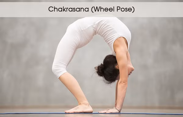 5 tư thế yoga giúp đánh tan bọng mắt ảnh 3 5 tư thế yoga giúp đánh tan bọng mắt - 2