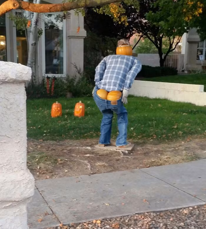 My Neighbor